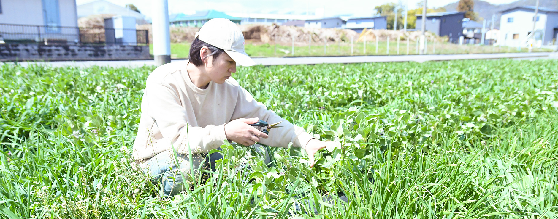 土を育てる。野菜づくりでヒトとヒトをつなぐ。